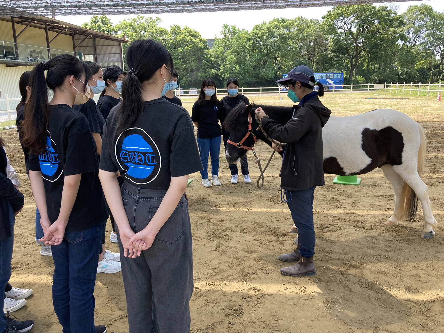 圖為亞大物治系同學參訪馬場,學習如何「領馬」