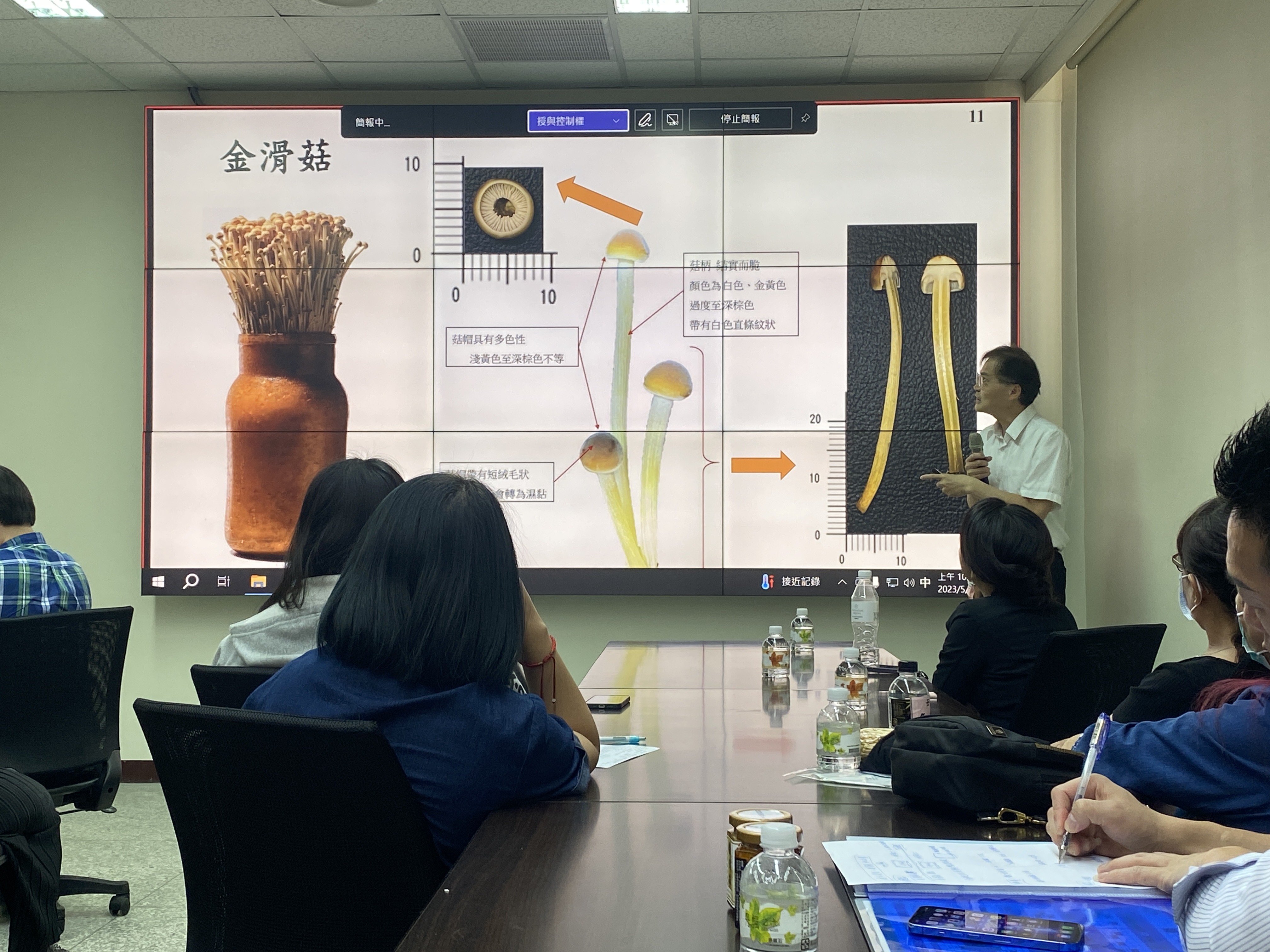 中醫大教授黃冠中,講解金滑菇的菌種子實體特性。