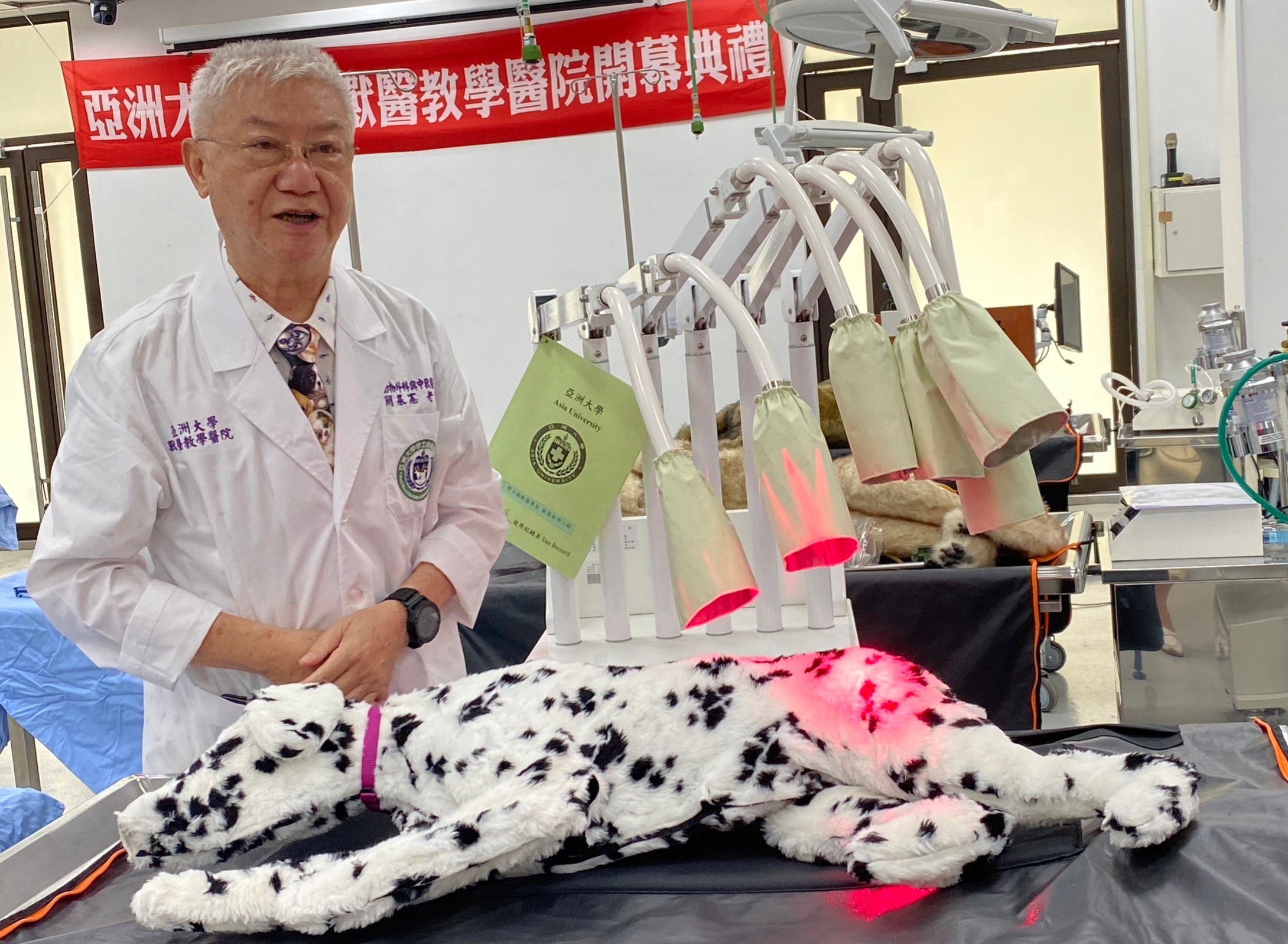 圖為亞大後獸系主任簡基憲說,遇有動物無法針灸時,就會以雷射方式來代替治療。
