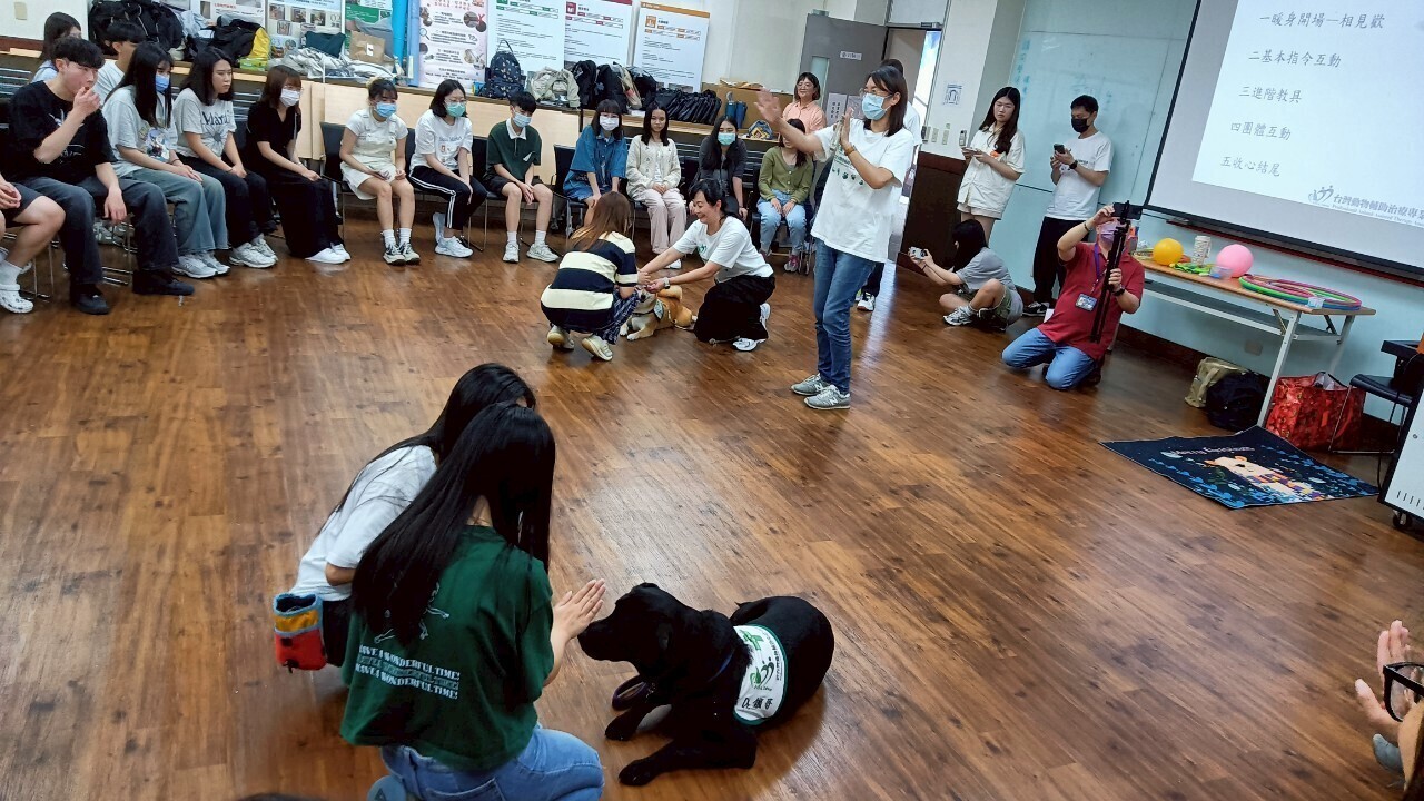 在亞大職治系動物輔助治療課程中，同學學習與治療犬相處。